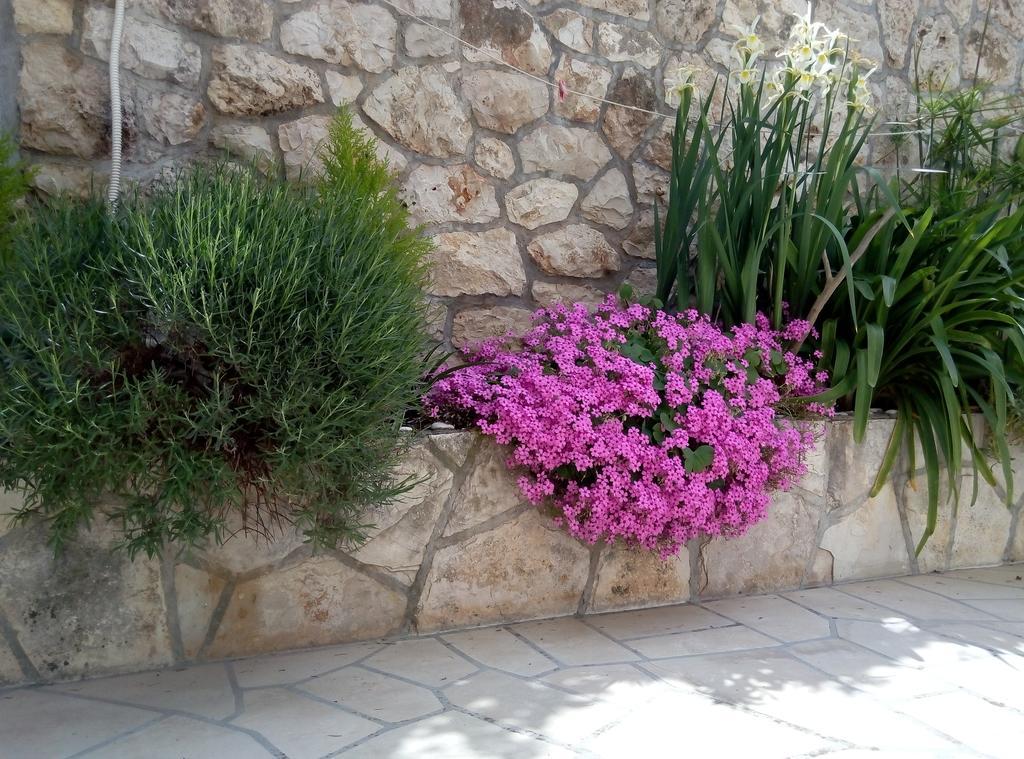 Apartments Desa Petric Hvar Town Esterno foto